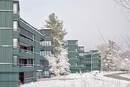 Buchholz Residential Development